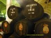 Andalusien_088